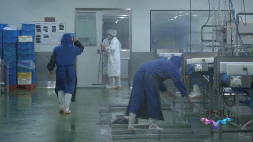 揚州市市場監督管理局 以“硬核監管”與“周到服務”雙輪驅動，筑牢餐飲安全防線